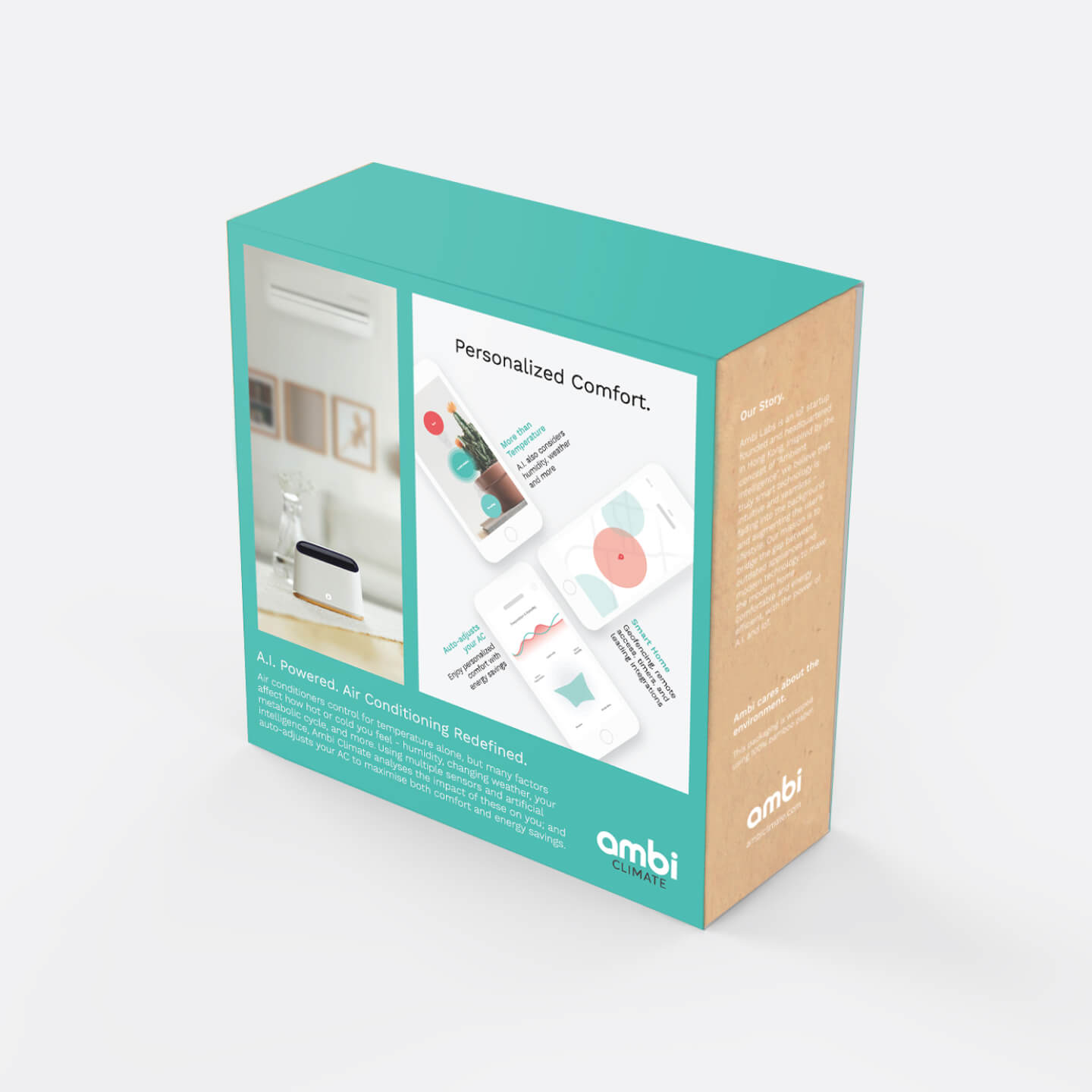 Ambi Climate Packaging Back